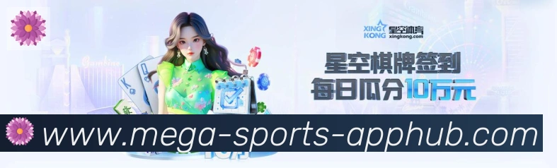 未来规划